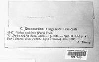 Image Associated With the Occurence